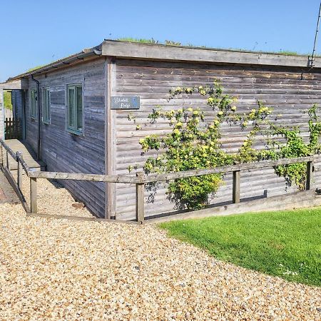 Bluebell Lodge Holsworthy Exterior foto