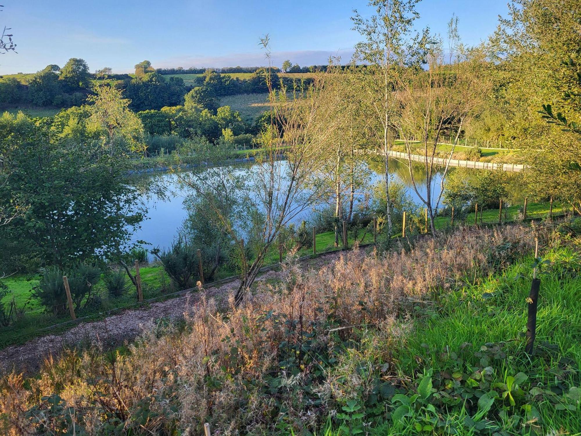 Bluebell Lodge Holsworthy Exterior foto